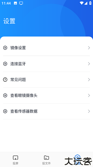 蓝莓投屏