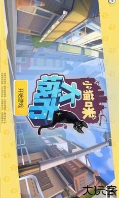 小猫咪大城市