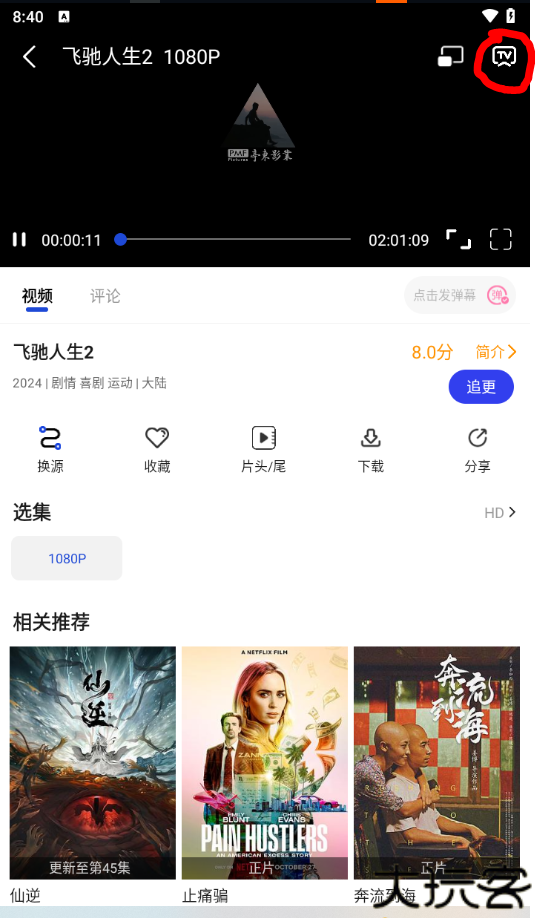 雪豹视频