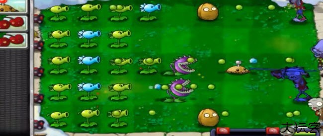 植物大战僵尸虽华音乐版