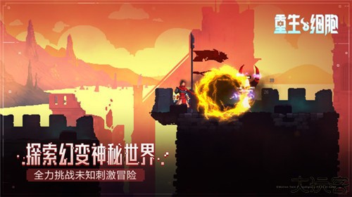 deadcells国际版