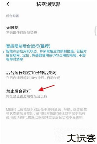 秘密浏览器