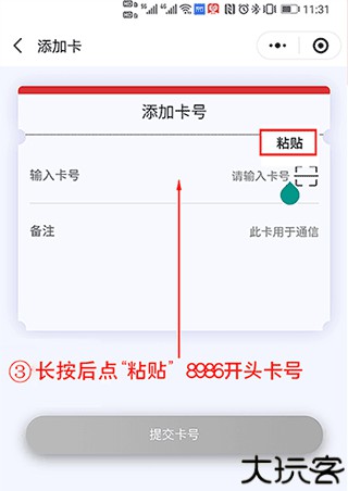 表鸽