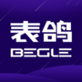 表鸽