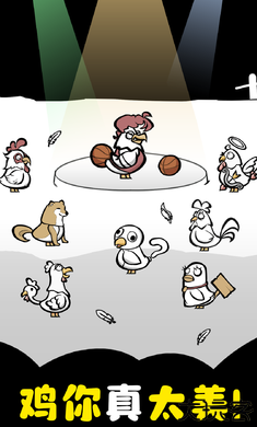 养鸡时长两年半