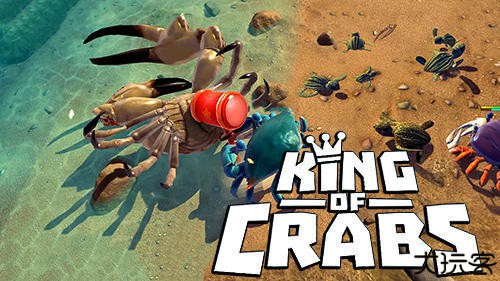 螃蟹之王国际服