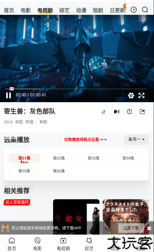 追影猫
