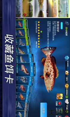 钓鱼冲突国际服