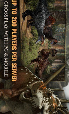 泰坦之路国际服