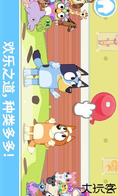 布鲁伊一起玩吧