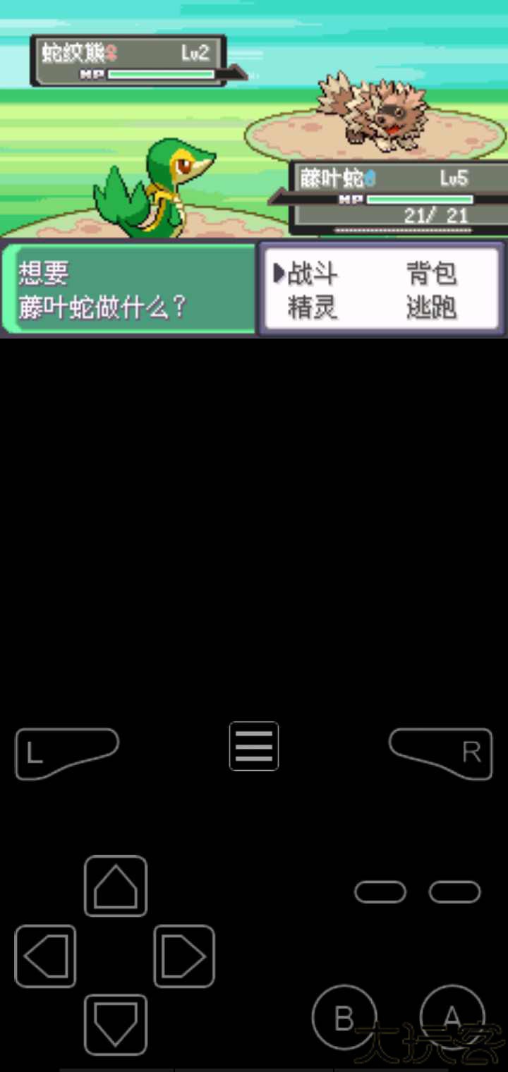 口袋妖怪漆黑的魅影