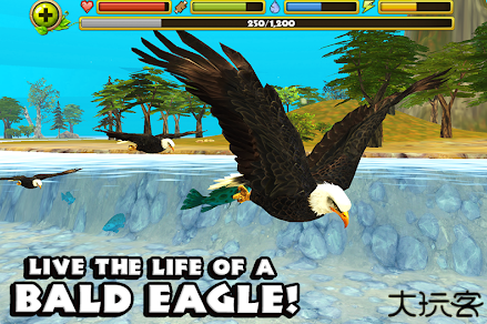 老鹰模拟器