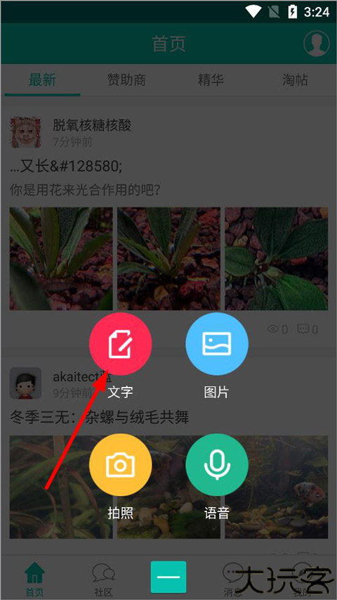 南美水族论坛