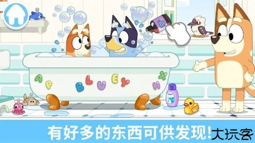 布鲁伊一起玩吧