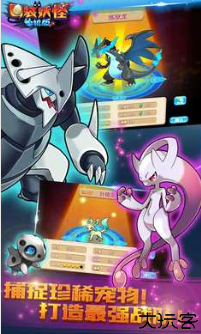 宠物王国单机版