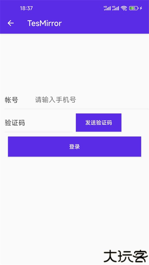 Tesmirror投屏