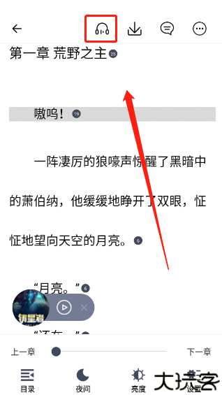 独阅读小说