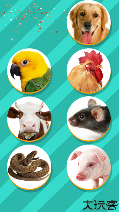 宠物对话翻译器免费版