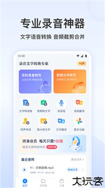 录音文字转换专家