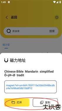 闪电磁力