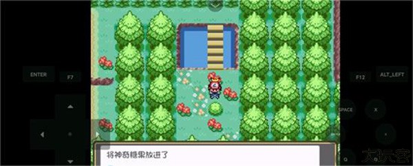 口袋妖怪燃之智3.4汉化版