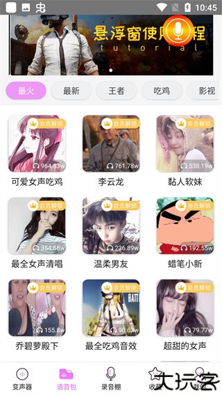 黑盒语音