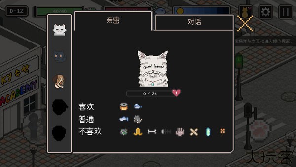 流浪猫的故事