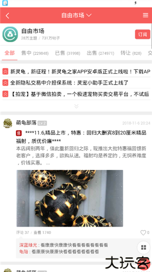 灵龟之家
