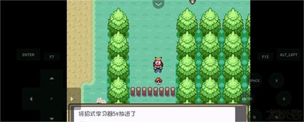 口袋妖怪燃之智3.4汉化版