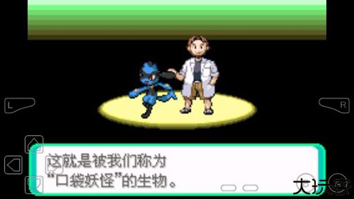 口袋妖怪冰之冒险汉化版