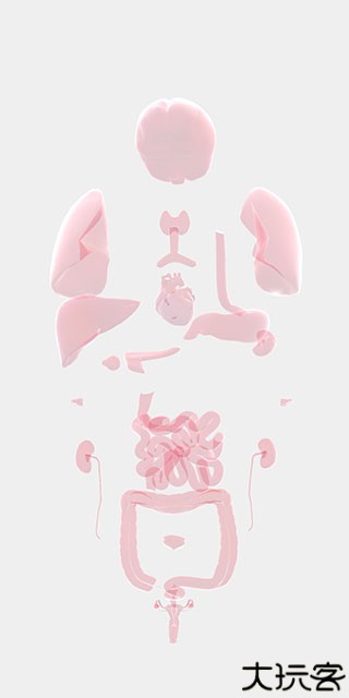 life生命模拟器