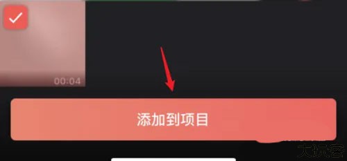 videoleap安卓版