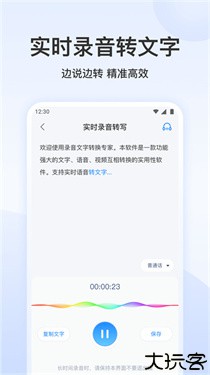 录音文字转换专家