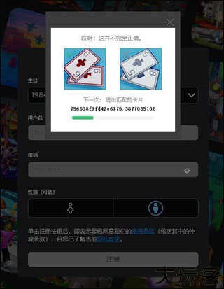 罗布乐思越南服