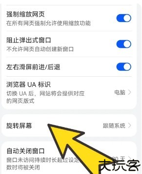 波波浏览器手机版