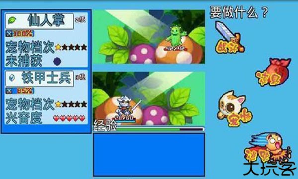 宠物王国5彩虹上帝版