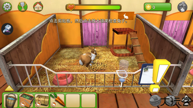 宠物世界我的动物救援