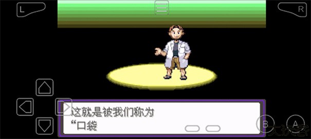 口袋妖怪漆黑的魅影