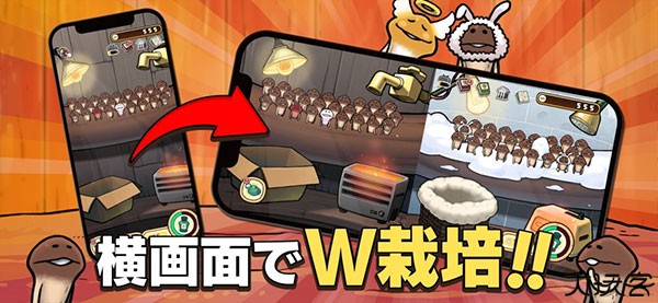 原始菇菇栽培实验室