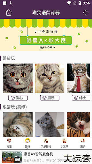 猫语狗语翻译器