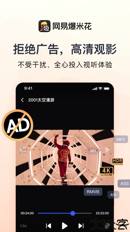 网易爆米花电视版