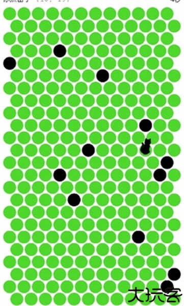 围小猫