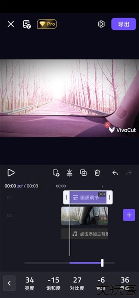 VivaCut国际版
