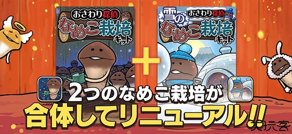 原始菇菇栽培实验室