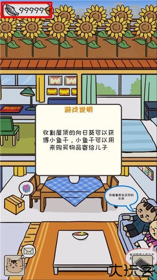 离家的猫