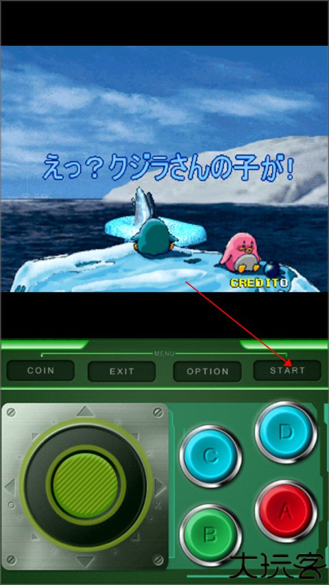 企鹅兄弟