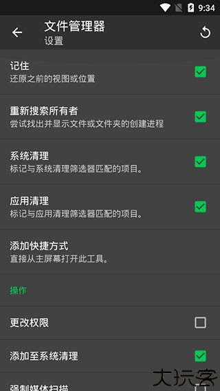 sd maid清理专业版