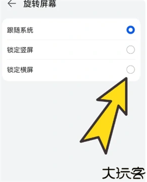 bobo浏览器