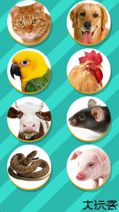 宠物对话翻译器免费版