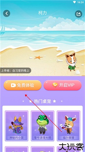 小小桌宠